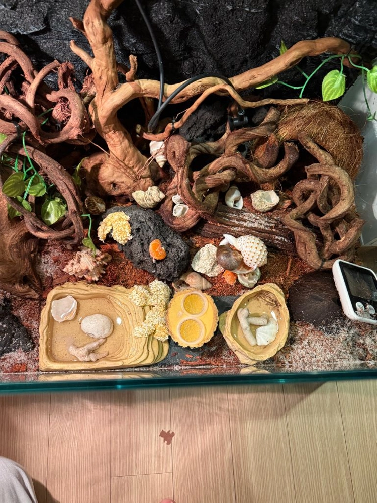 파충류(소라게) 사육장 풀세트,대형수조 이미지