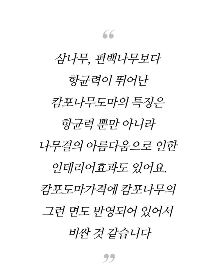 [새상품,쇼핑백선물포장] 로얄포드 캄포나무 원목 도마 L 플레이팅 베이킹 주방도구 홈베이킹 빵 케이크 휘핑기 버터 이미지