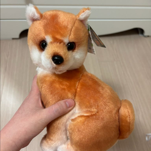 일본 어뮤즈 시바견 시츄 인형 이미지