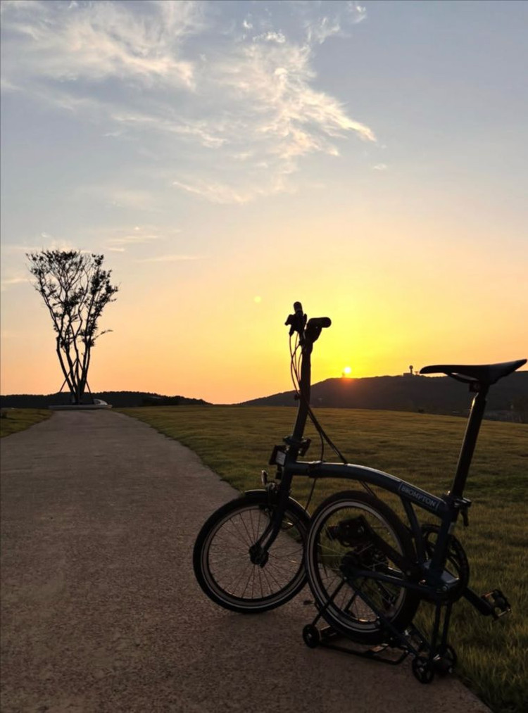 브롬톤 접이식자전거 25년식 c라인 12단 미드렉 이미지