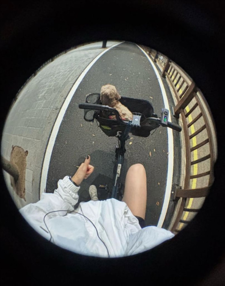 브롬톤 접이식자전거 25년식 c라인 12단 미드렉 이미지