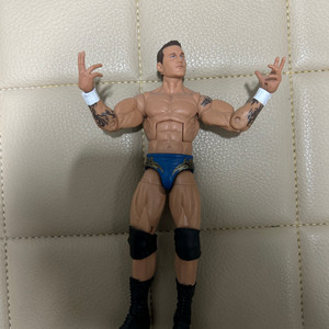 WWE 랜디오턴 피규어 이미지
