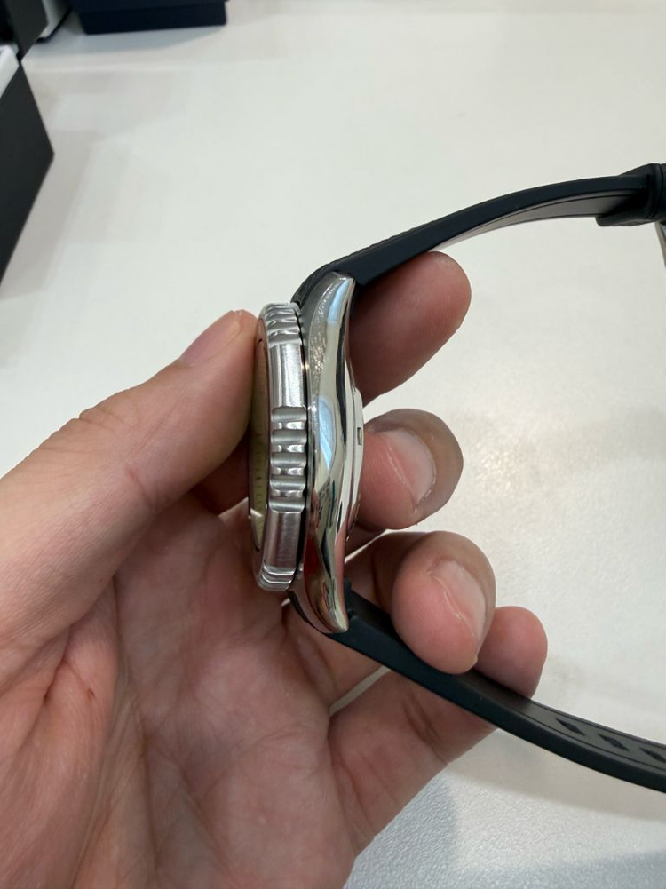 시티즌 복어 ny0040 풀루메 이미지