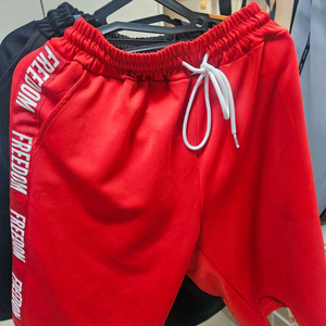 프리덤 반바지 레드 L 팝니다 가스프 본투윈 압도 이미지