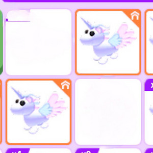 입양 네온 알리콘 3마리 0.3씩 이미지