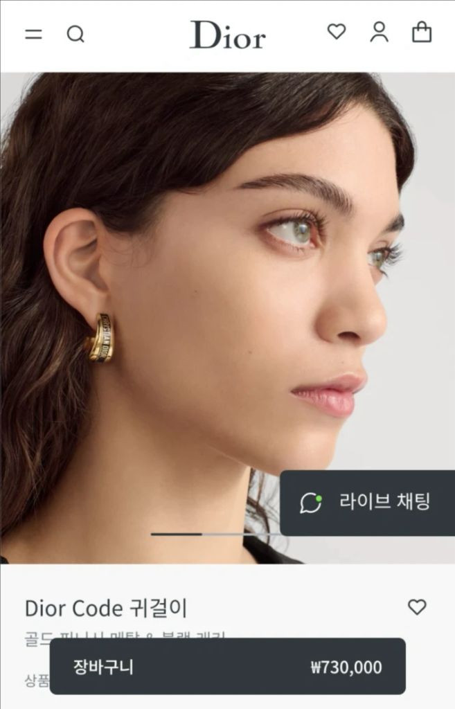 (정품/영수증) 디올 귀걸이 이미지