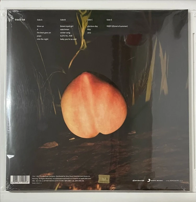 The Monotones (더 모노톤즈) Into The Night LP 이미지