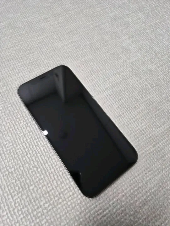 아이폰 12 Pro 128GB 그래파이트 이미지