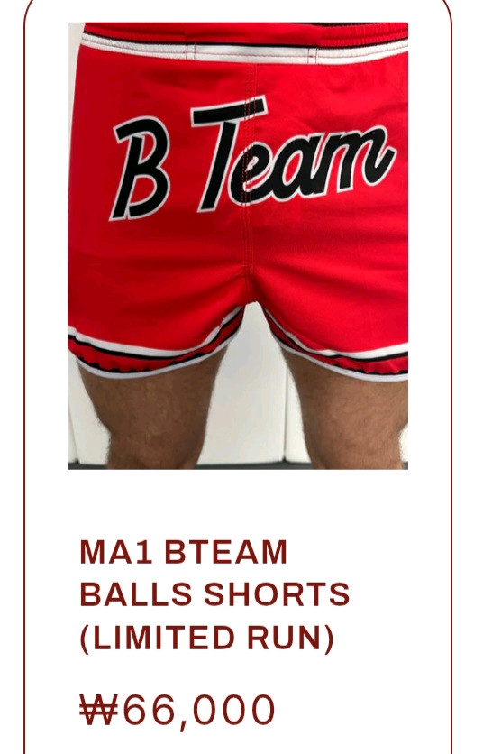 새상품) b-team bulls 노기 주짓수 쇼츠 이미지