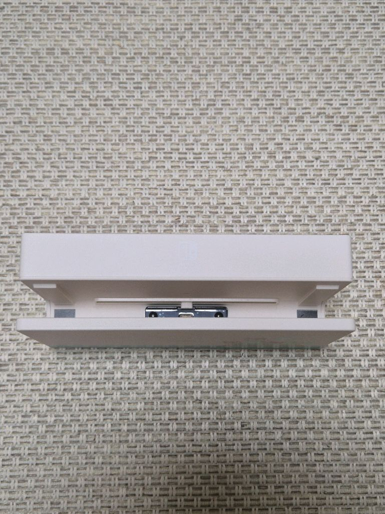 닌텐도 스위치 동물의숲 에디션 독 이미지