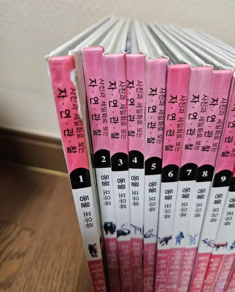 한국헤밍웨이전집 자연관찰 90권 (너무깨끗,완벽구성) 이미지