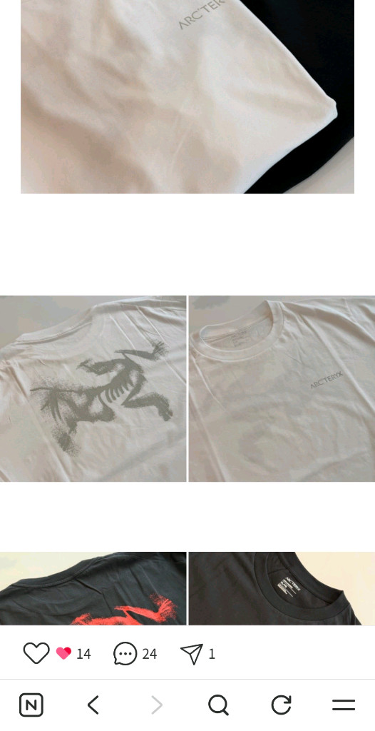 아크테릭스 ss버드 l 이미지