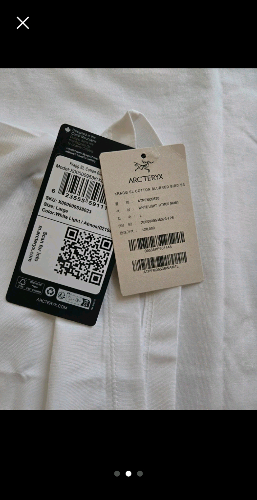 아크테릭스 ss버드 l 이미지