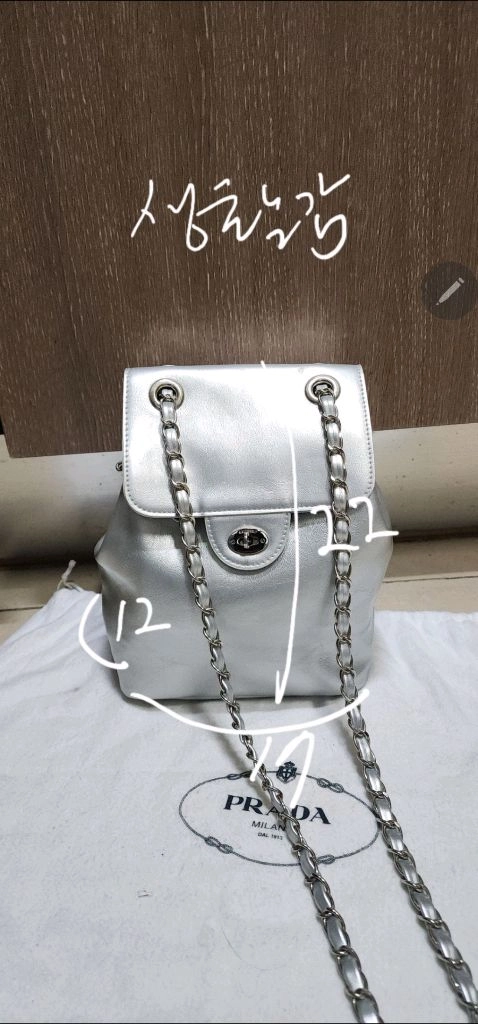 아노에틱 실버 체인백팩/ 새들러 숄더백 이미지