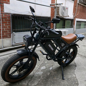 딥파워 자토바이 전기자전거 2000w 48v 60ah 스로틀o 이미지
