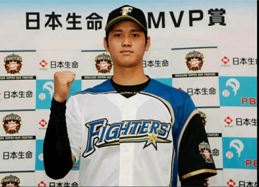 XL) NPB 홋카이도 니혼햄파이터즈 져지 유니폼 야구 유니폼 이미지