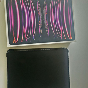 아이패드 프로 6세대 12.9 256gb wifi + 애플 펜슬 2세대 판매합니다 이미지