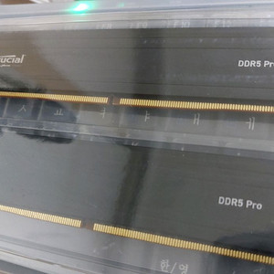 마이크론 크루셜pro ddr5 24gbx2 48gb 6000mhz 이미지