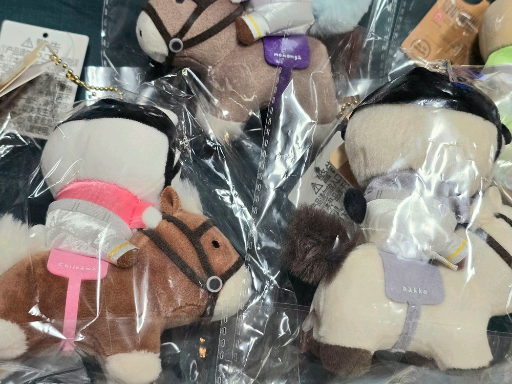미니소 치이카와 승마치이카와 승마가도 하치와레 우사기 랏코 모몽가 이미지