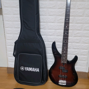 베이스기타 세트(TRBX174BL) 이미지