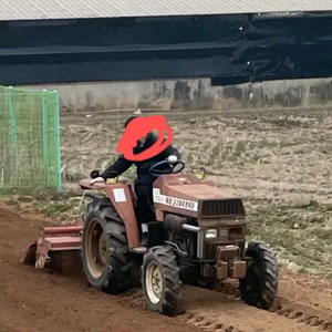 국제 25마력 트렉터 이미지