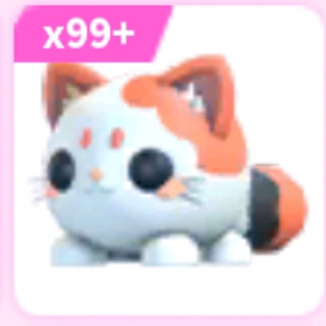 입양하세요 모찌냥 및 바이크 이미지