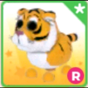 입양하세요 타는 호랑이 팝니다 이미지