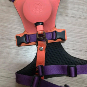 테일하이 강아지 리드줄일체형 하네스 이미지