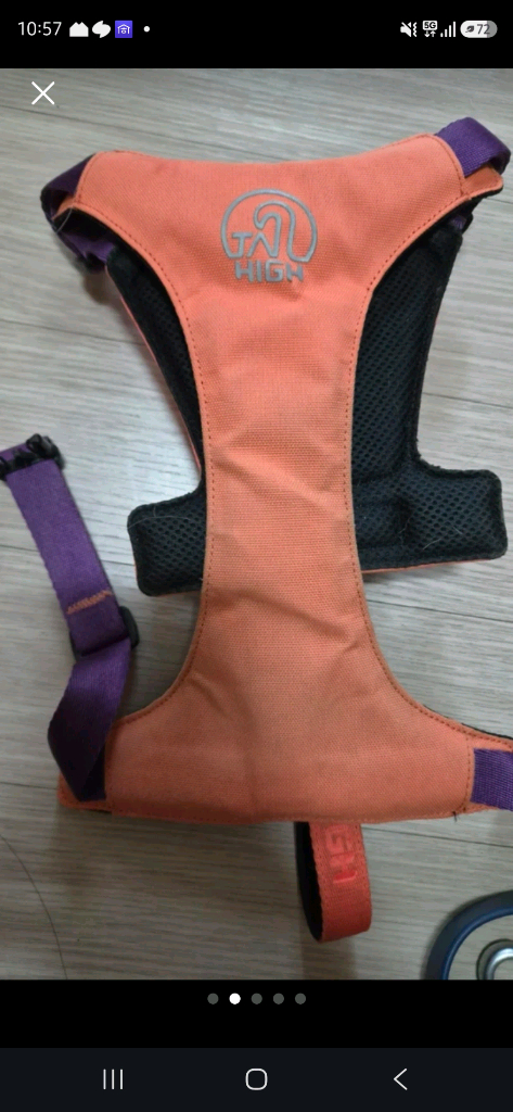 테일하이 강아지 리드줄일체형 하네스 이미지