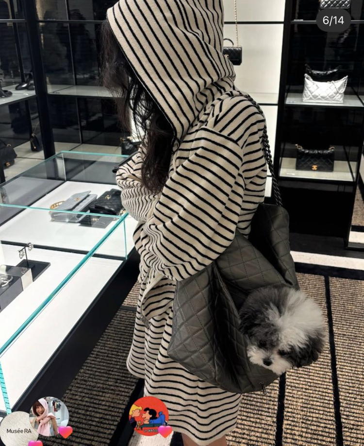 뮤제라 테리 나시 롱팬츠 후드집업 셋트(아이스트라이프) 라온컴퍼니 유메르 eenk 이미지