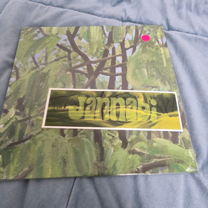 미개봉) 잔나비 소곡집2 LP(핑크) 이미지