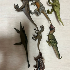 컬렉타, 파포, 슐라이히 공룥 이미지