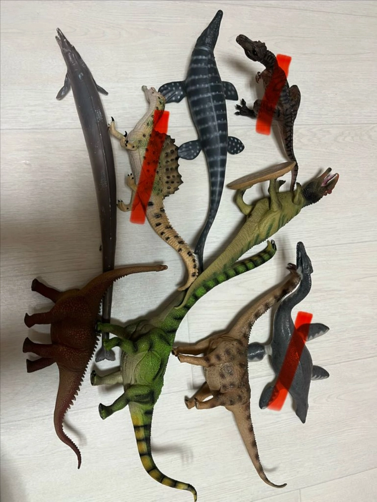 컬렉타, 파포, 슐라이히 공룥 이미지