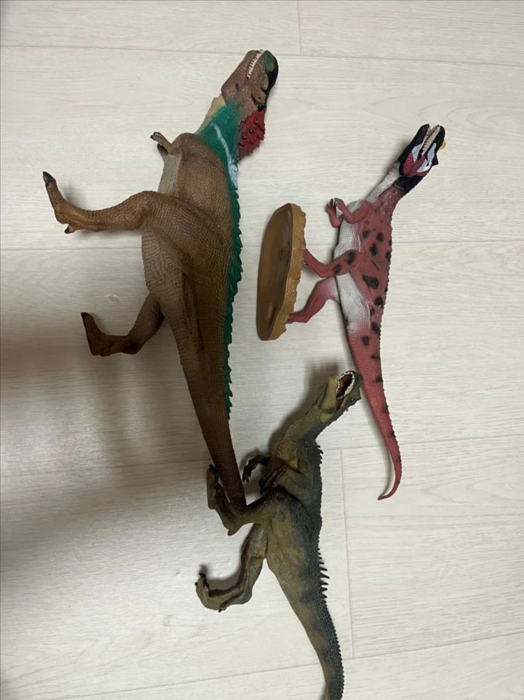 컬렉타, 파포, 슐라이히 공룥 이미지
