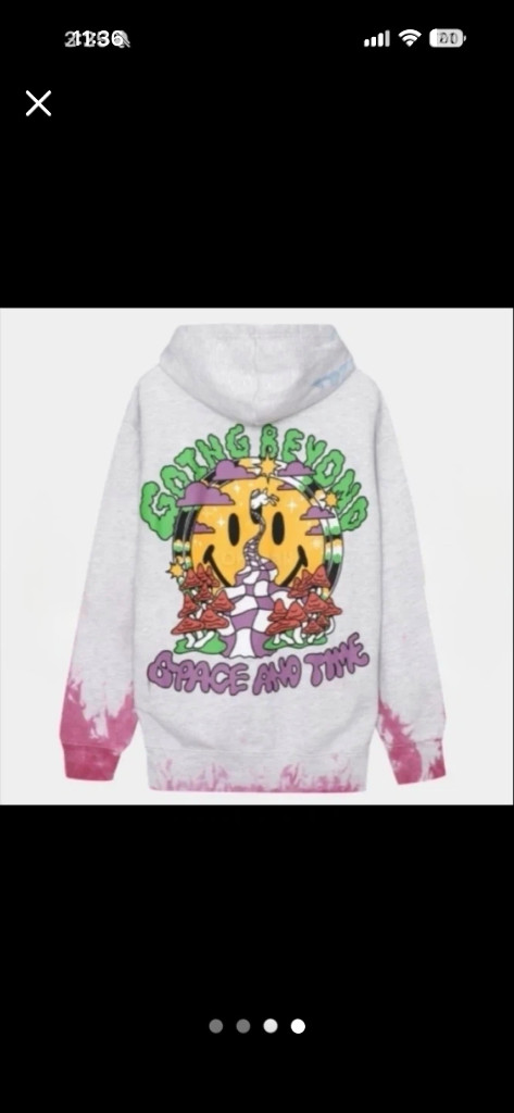 타이다이 Going Beyond 후드티 L사이즈 이미지