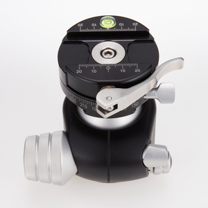 세계최고 볼헤드 RRS BH-55 Ball Head with Lever-Release Panning Clamp 이미지