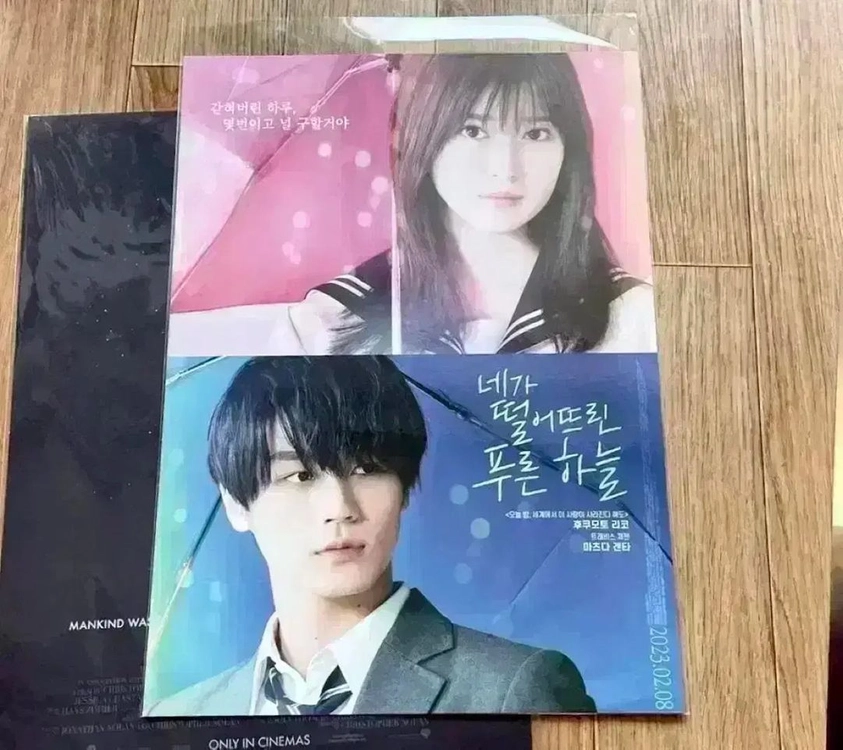 네가 떨어뜨린 푸른 하늘 A3 포스터 티켓 오세이사 전단지 후쿠모토 리코 이미지