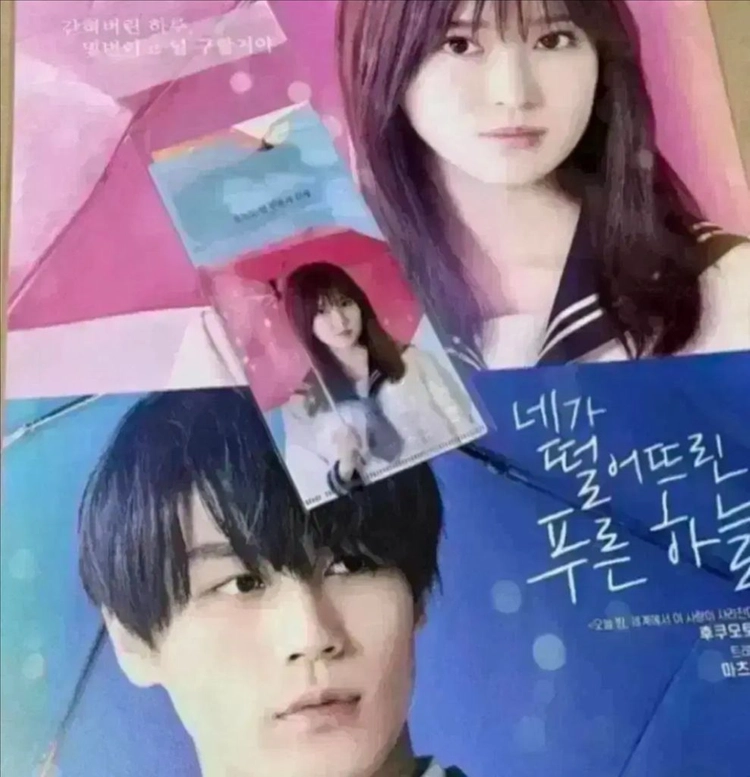 네가 떨어뜨린 푸른 하늘 A3 포스터 티켓 오세이사 전단지 후쿠모토 리코 이미지