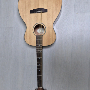 기타 콜트L60NAT 이미지