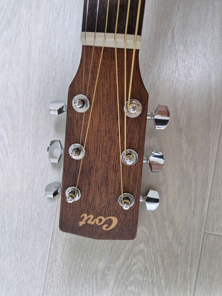 기타 콜트L60NAT 이미지