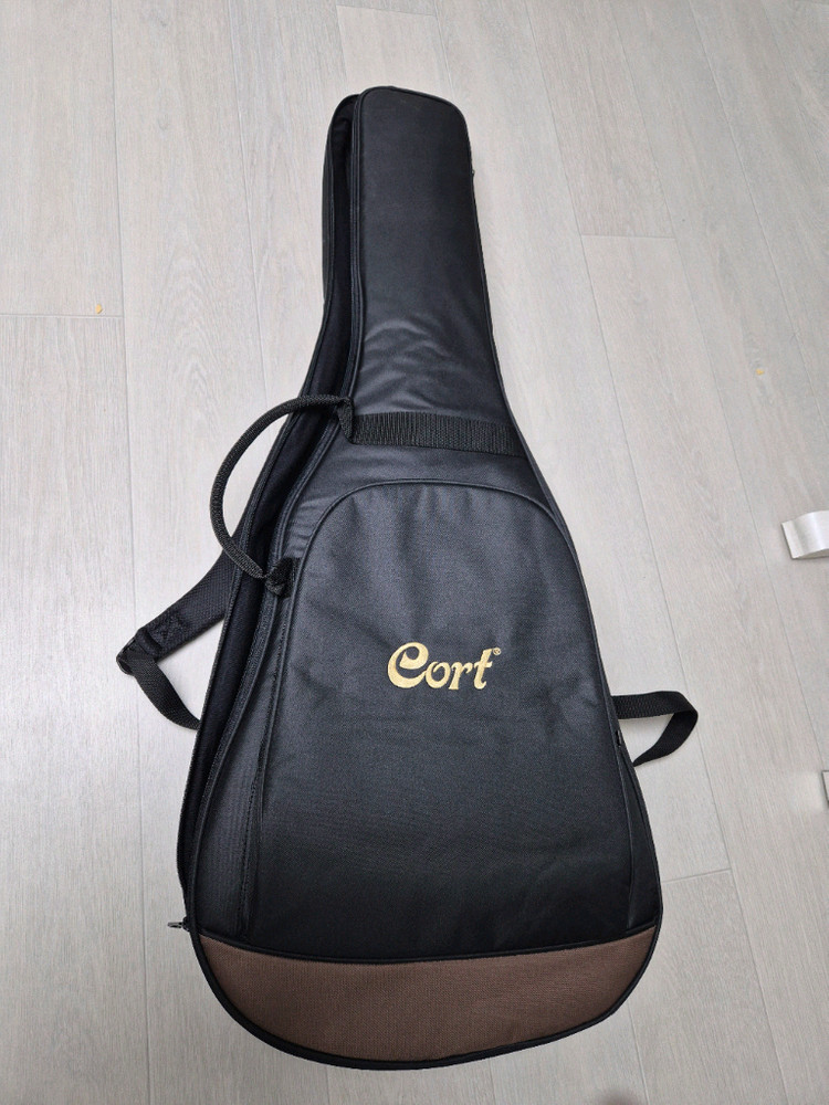 기타 콜트L60NAT 이미지