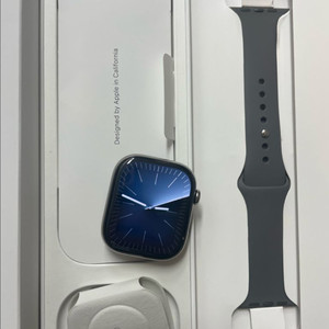 애플워치10티타늄 46mm 내추럴 애플케어 + 이미지