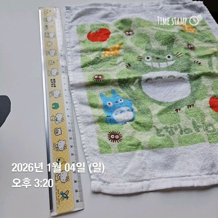 이웃집 토토로 수건 및 수건통 (손수건) 이미지