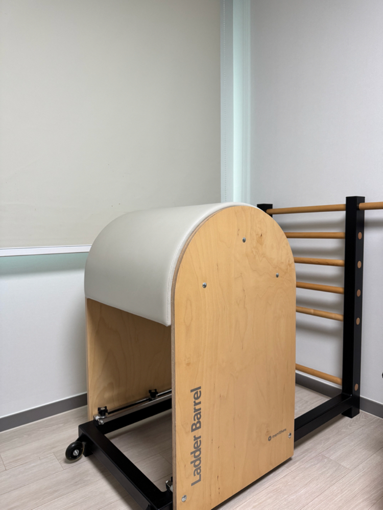 [150만] 정품 STOTT PILATES 스탓 필라테스 레더베럴 / 아이보리 커스텀 / 상태 최상 이미지