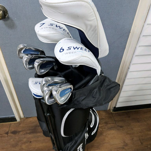 PRGR SWEEP 여성 골프채 풀세트 이미지