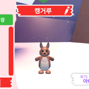 입양하세요 펫 캥거루 판매합니다 이미지