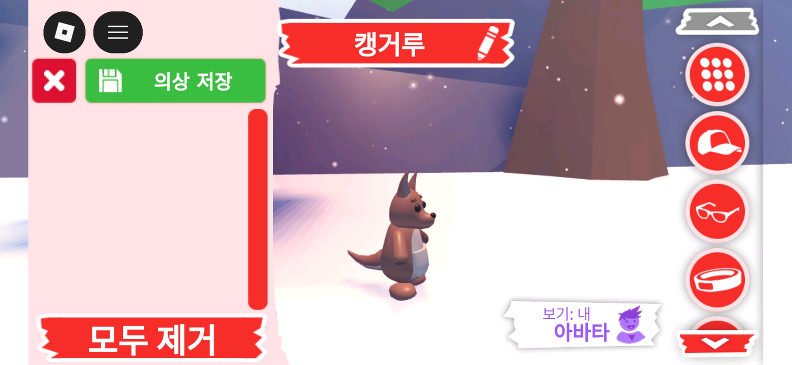 입양하세요 펫 캥거루 판매합니다 이미지