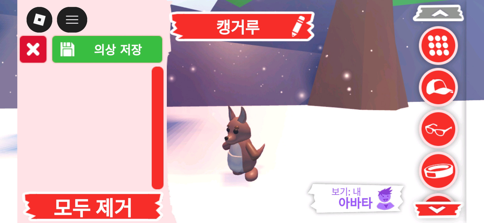 입양하세요 펫 캥거루 판매합니다 이미지