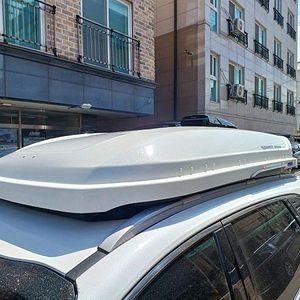 올뉴쏘렌토 코토일체형루프박스 화이트 변색 장착65만원 이미지