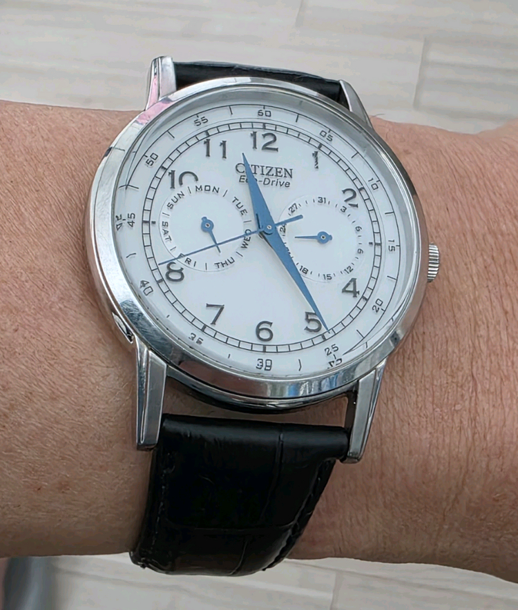 시티즌 (CITIZEN) 부엉이 흰판 블루핸즈 데이 & 데이트 솔라 에코드라이버 시계 이미지